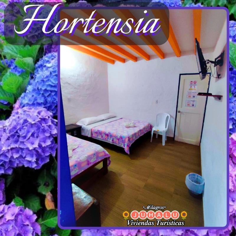 ᒍᑌᕼᗩᒪᑌ Hotel Jericoc  Room photo