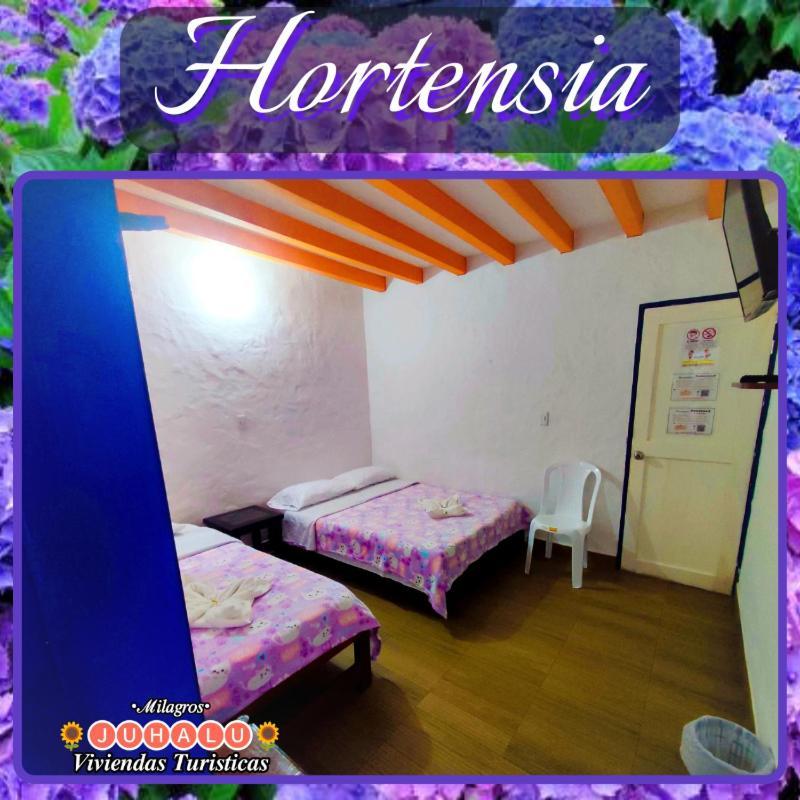 ᒍᑌᕼᗩᒪᑌ Hotel Jericoc  Room photo