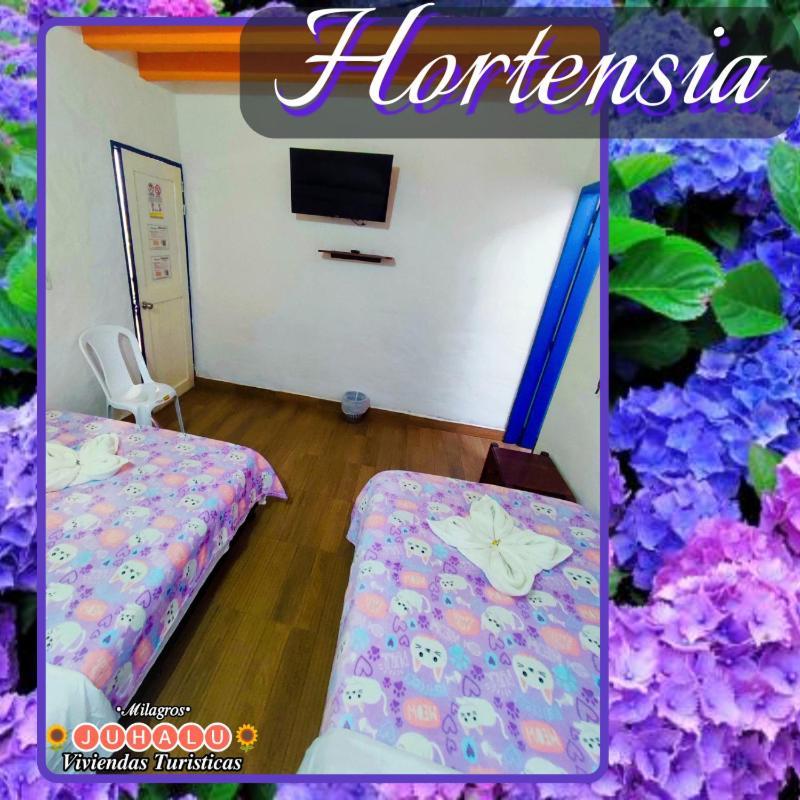 ᒍᑌᕼᗩᒪᑌ Hotel Jericoc  Room photo